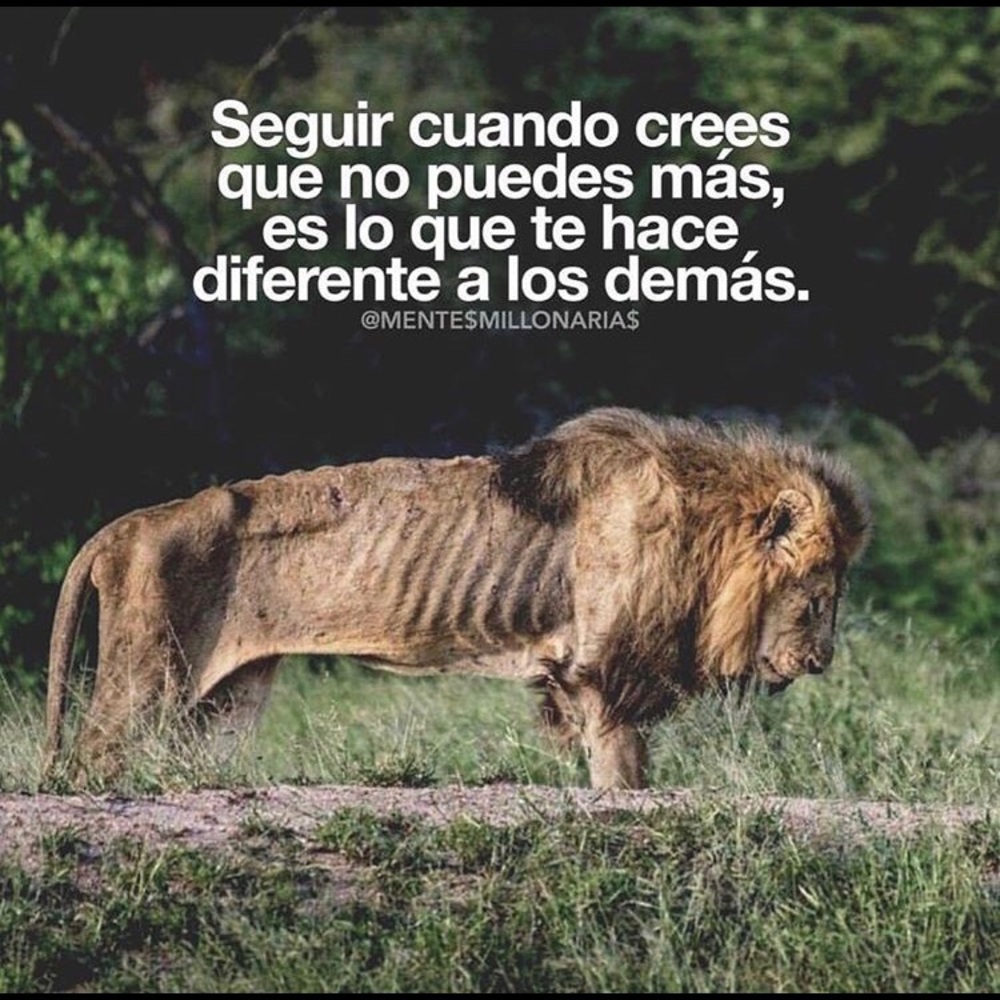 Meet your Posher, Carlos